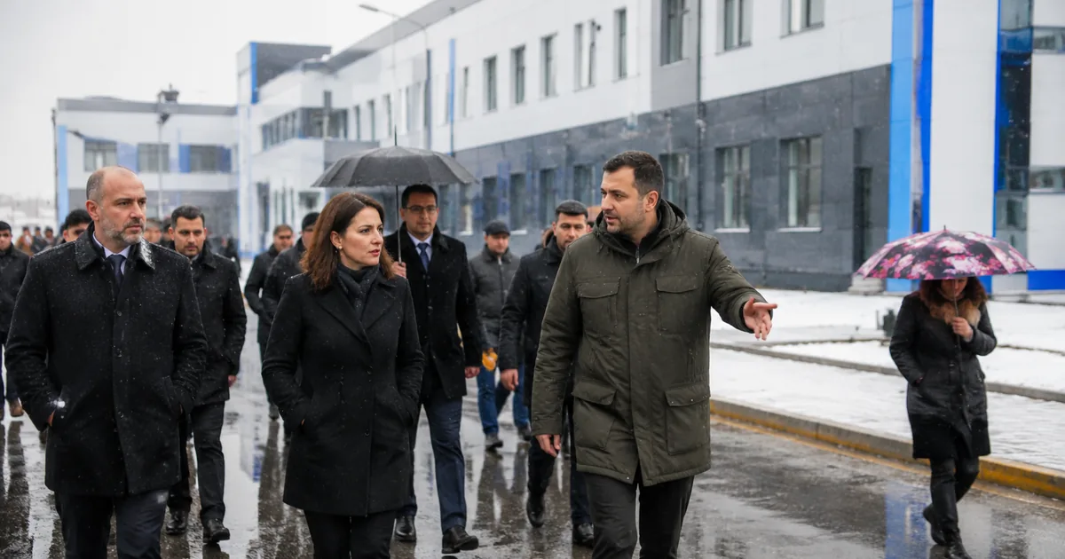 Yüceer'den örnek proje: Sokak hayvanları için yaşam alanı - Manisa Bakış