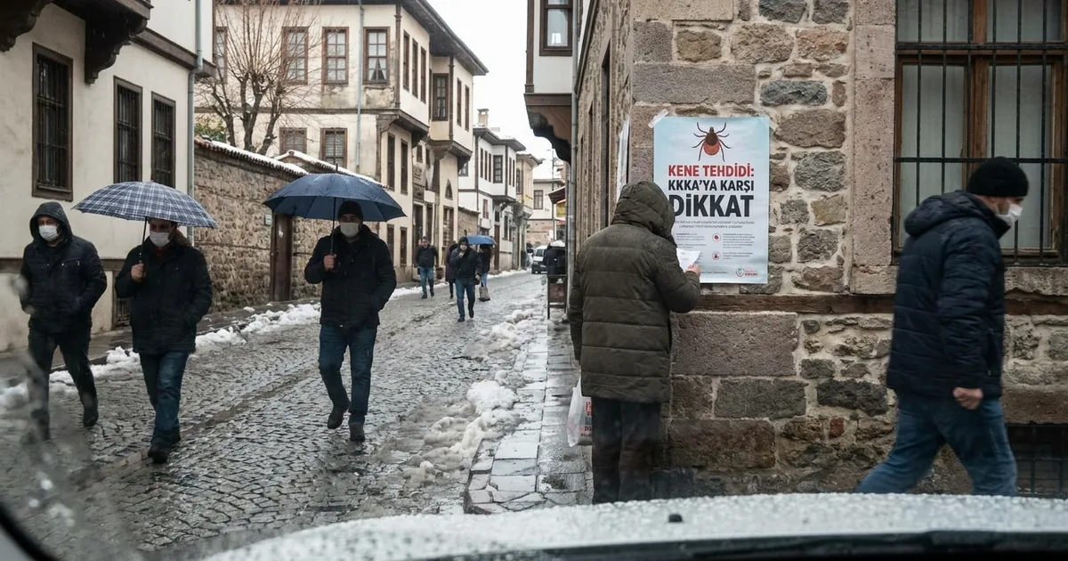 Manisa İçin Kene Tehdidi: KKKA'ya Karşı Dikkat Çağrısı - Manisa Bakış