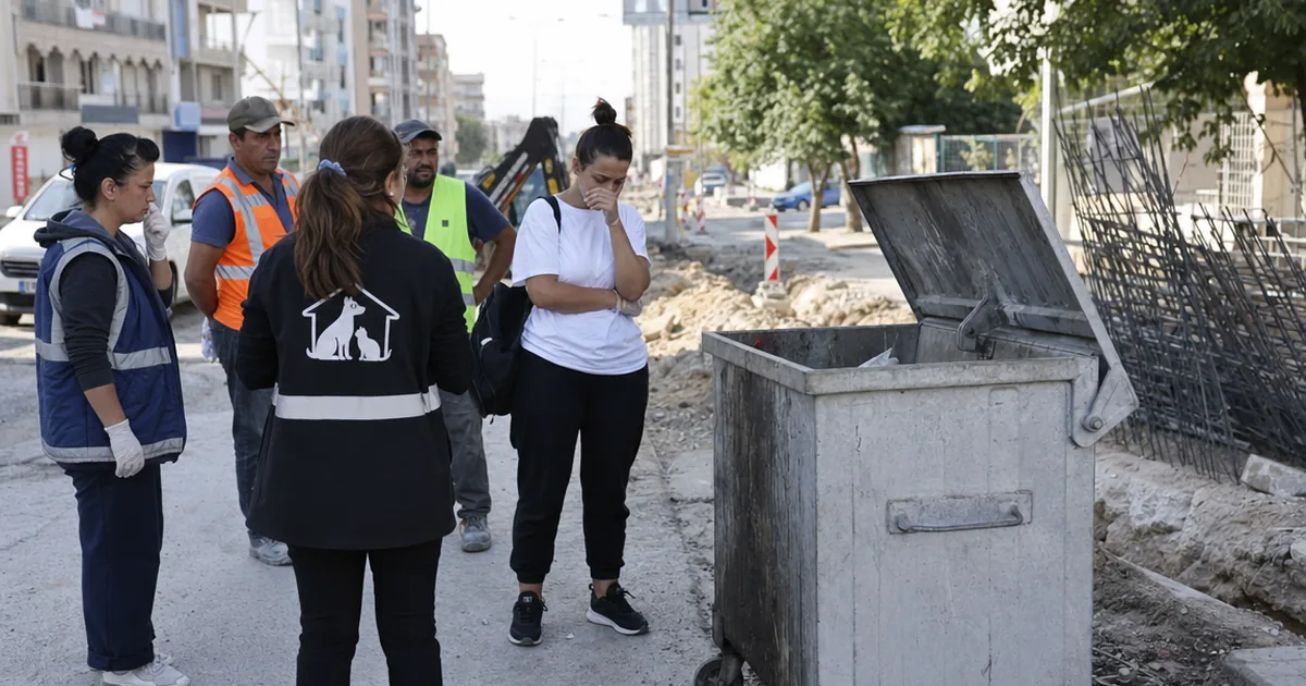 İzmir'de Çöp Konteynerinde 33 Kedi Ölüsü Bulundu - Manisa Bakış
