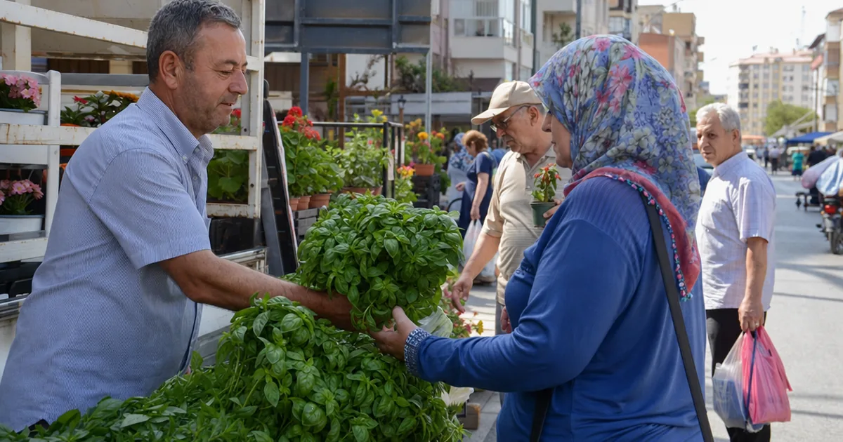 Edirne'nin Fesleğen Kokusu Manisa'yı Yaz'a Hazırlıyor - Manisa Bakış