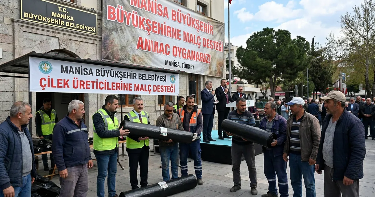 Salihli ve Köprübaşı’nda 73 üreticiye çilek desteği - Manisa Bakış