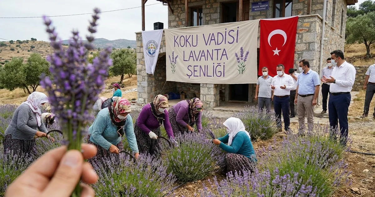 Muğla'da lavanta şenliği ile hasat heyecanı yaşanacak - Manisa Bakış