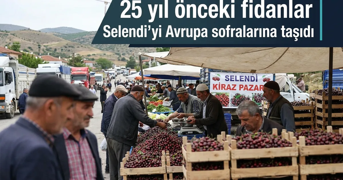 25 yıl önceki fidanlar Selendi’yi Avrupa sofralarına taşıdı