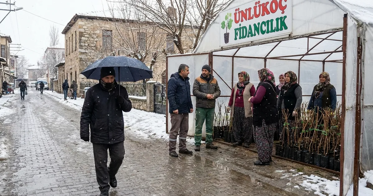 Ünlükoç kardeşlerin başarı hikayesi: 1 milyon fidan hedefi - Manisa Bakış