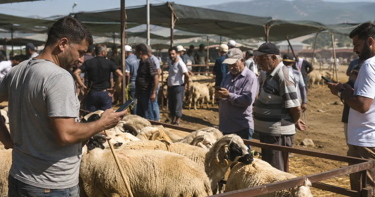İzmir'de Kurban Pazarı ve Sosyal Medya Rehberliği Bir Arada - Manisa Bakış
